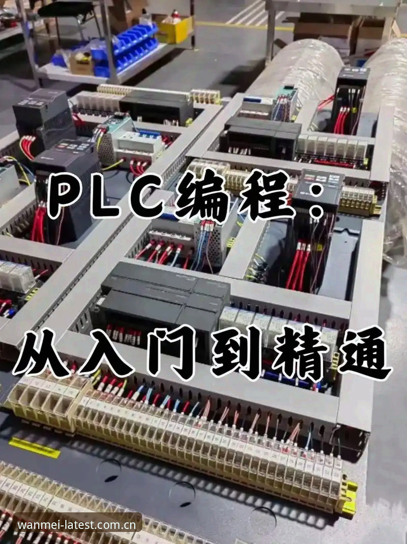 从入门到精通：完美体育官方渠道最新版使用心得与实战经验