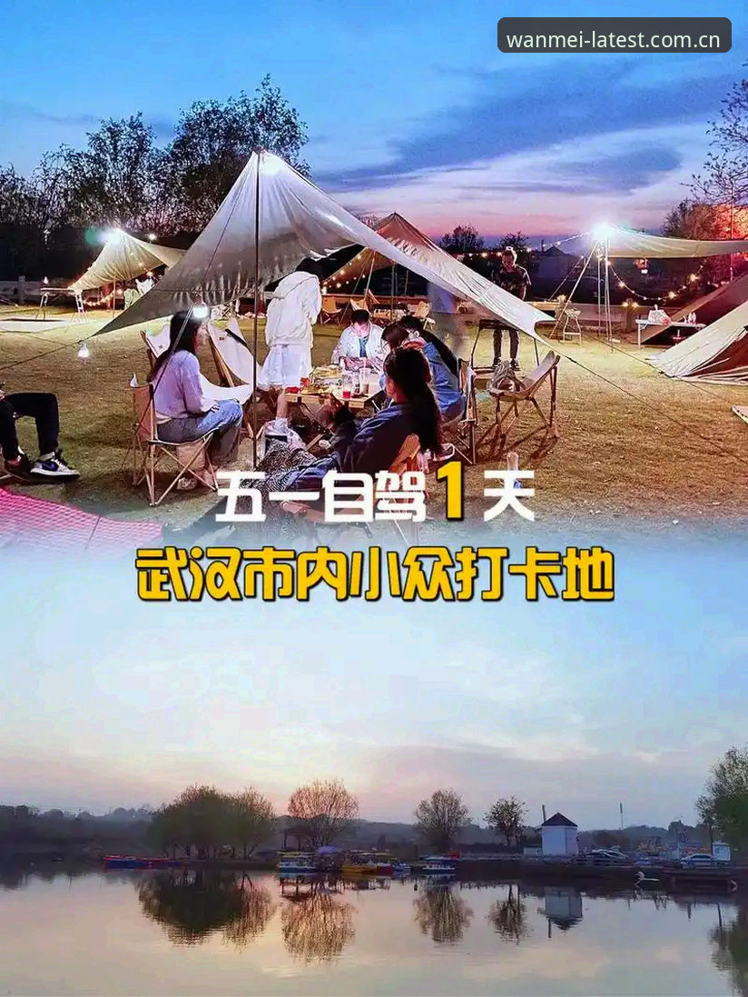 完美体育平台选择困难？最新版本下载不了怎么办 vs 官方渠道的正确打开方式